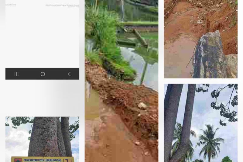 Dinding Penahan Tanah di Kompleks Taman Olahraga Megang Lonsor, Dinas PUPR Dipanggil untuk Bertanggung Jawab