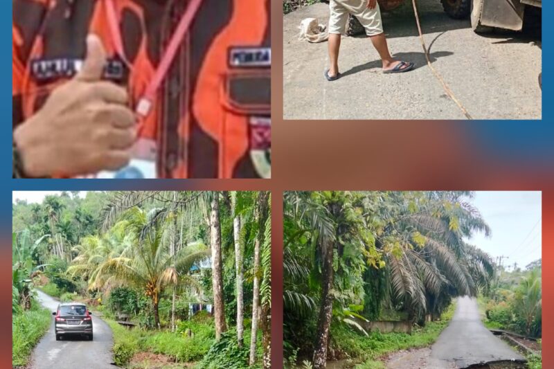 Jalan Rusak Parah di Ulu Talo, Warga Kecam Pemerintah Kabupaten Seluma dan DPRD yang Hanya Duduk Diam.