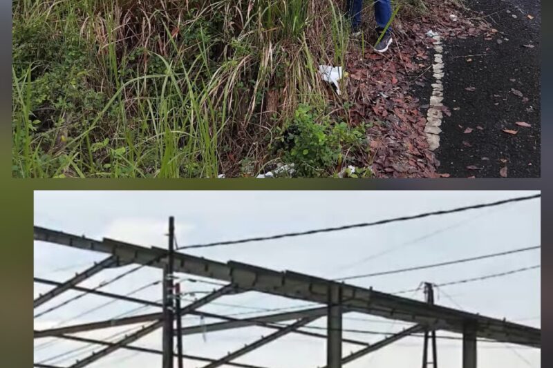 Gedung Lama Mangkrak, Pemerintah Kota Lubuklinggau Bangun Gedung Baru Bernilai Miliaran: Masyarakat Pertanyakan Arah Prioritas